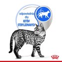 Royal Canin Indoor Sterilised Loaf karma mokra dla kotów dorosłych sterylizowanych, przebywających w domu saszetka 85g
