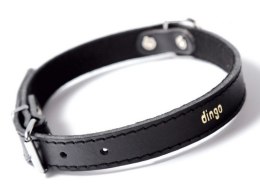 Dingo Obroża skórzana podszyta filcem 1,0x24cm czarna
