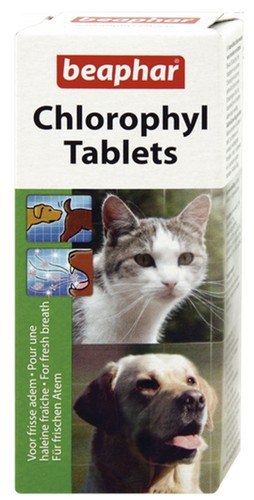 Beaphar Chlorophyl Tablets - preparat na czas cieczki/rui 30tabl.
