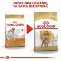 Royal Canin Poodle Adult karma sucha dla psów dorosłych rasy pudel miniaturowy 1,5kg