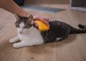 Fiboo Miękka szczotka dla kota żółta